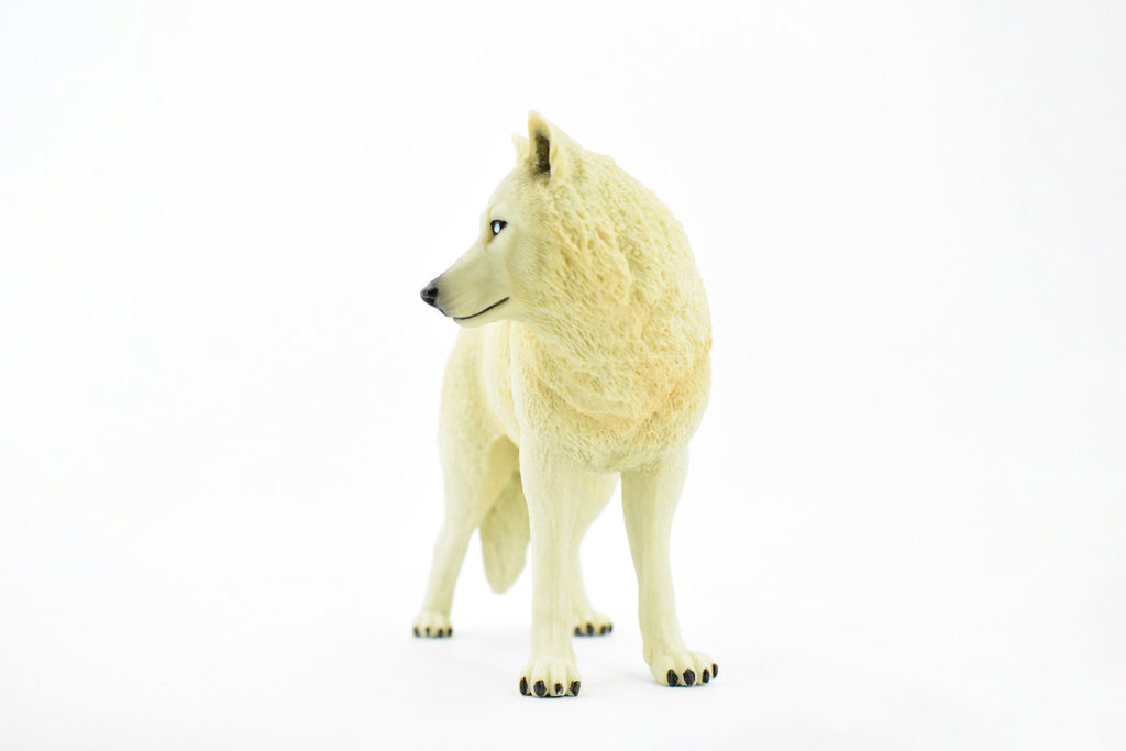 White Wolf, Arctic Timber Wolf, Museum Quality, Educational, Rubber Animal, Hand Painted, Realistic, Diorama Model, Toy, Kids, Gift,     7 Inches.    CH390 BB145