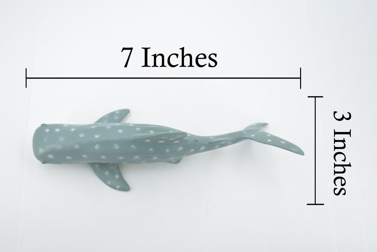 Whale Shark, High Quality, Hand Painted, Rubber, Marine Fish, Educational, Realistic, Figure, Replica, Toy, Kids, Educational, Gift,     7 Inches   