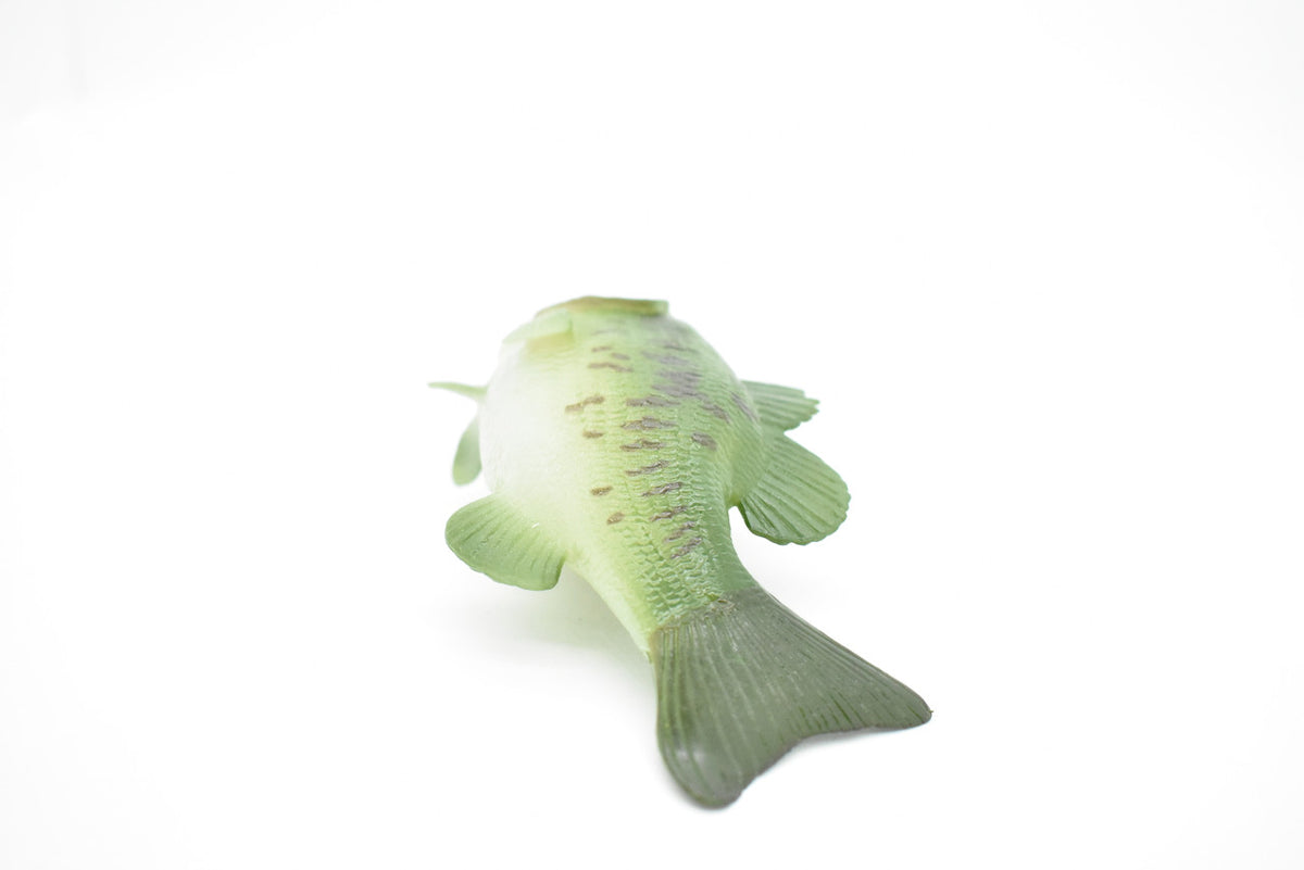 Bass, Largemouth, Fish, Toy,  Very Realistic Rubber Figure, Model, Educational, Animal, Hand Painted Figurines,     6"     CH027 BB73