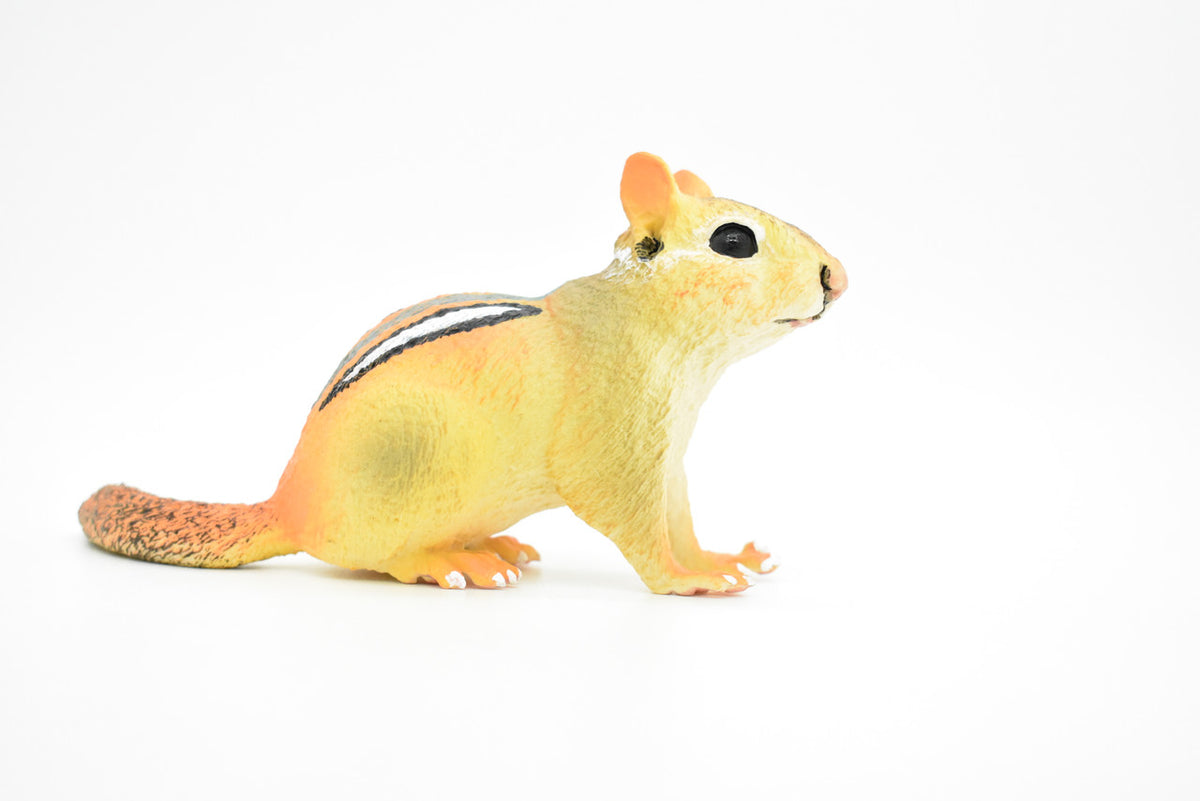 Chipmunk, Chippies,  Striped squirrel, Museum Quality, Hand Painted, Rubber Animal, Realistic Toy Figure, Diorama Model, Kids, Educational,  7 Inches. 
