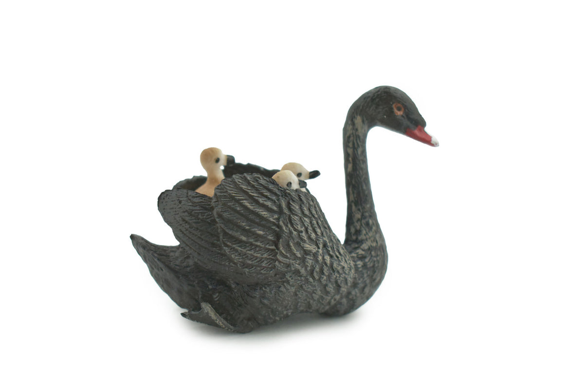 Bird, Black Swan, with Chicks, Babies, Museum Quality, Hand Painted, Rubber, Figure, Realistic, Model, Replica, Toy, Kids, Educational, Gift,     3"    CH695 BB173