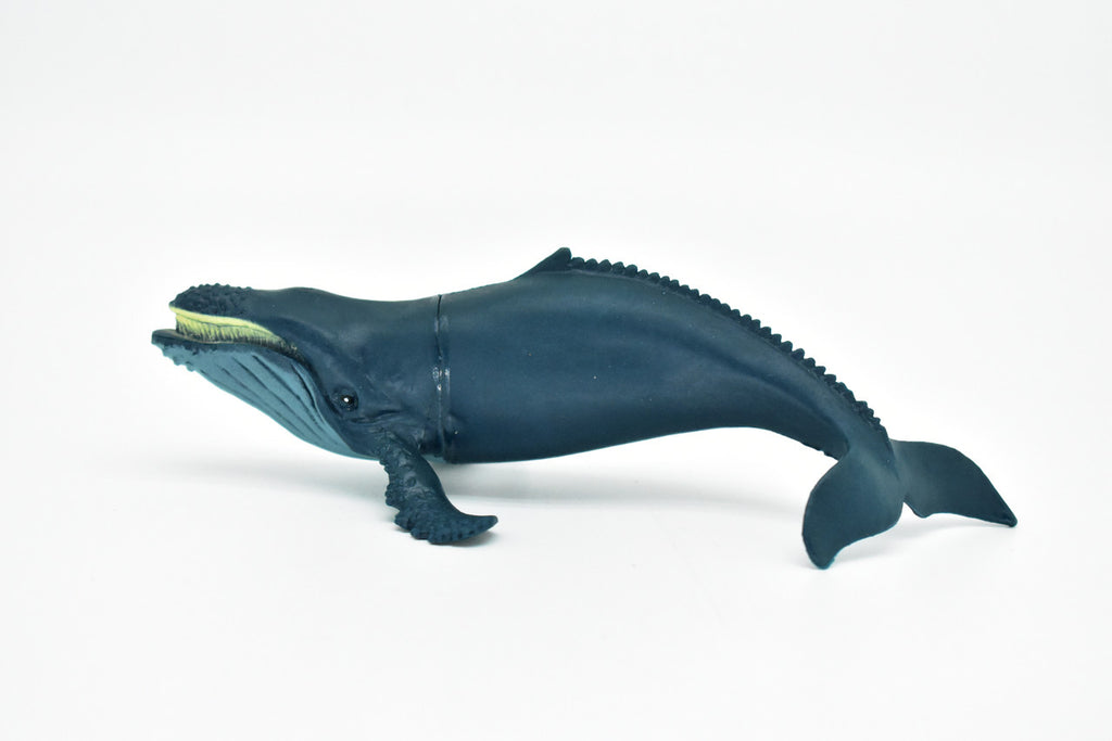 Humpback Whale, Megaptera novaeangliae, Hand Painted, Realistic, Soft Rubber, Saltwater, Educational,  Figure, Lifelike, Diorama Model, Toy,  6 Inches. 