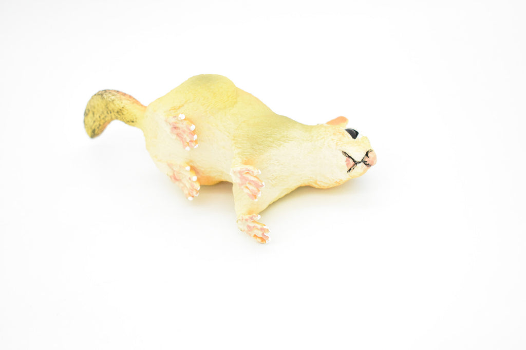 Chipmunk, Chippies,  Striped squirrel, Museum Quality, Hand Painted, Rubber Animal, Realistic Toy Figure, Diorama Model, Kids, Educational,  7 Inches. 