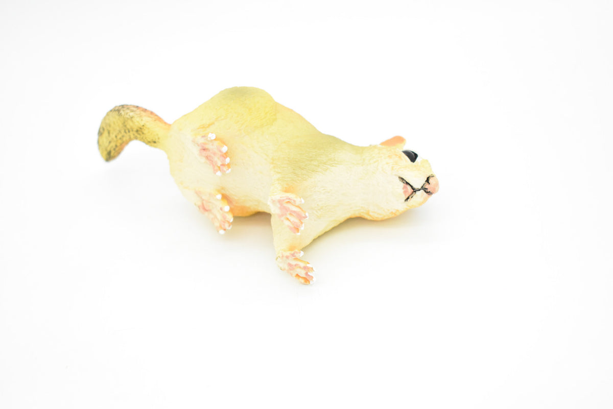 Chipmunk, Chippies,  Striped squirrel, Museum Quality, Hand Painted, Rubber Animal, Realistic Toy Figure, Diorama Model, Kids, Educational,  7 Inches. 