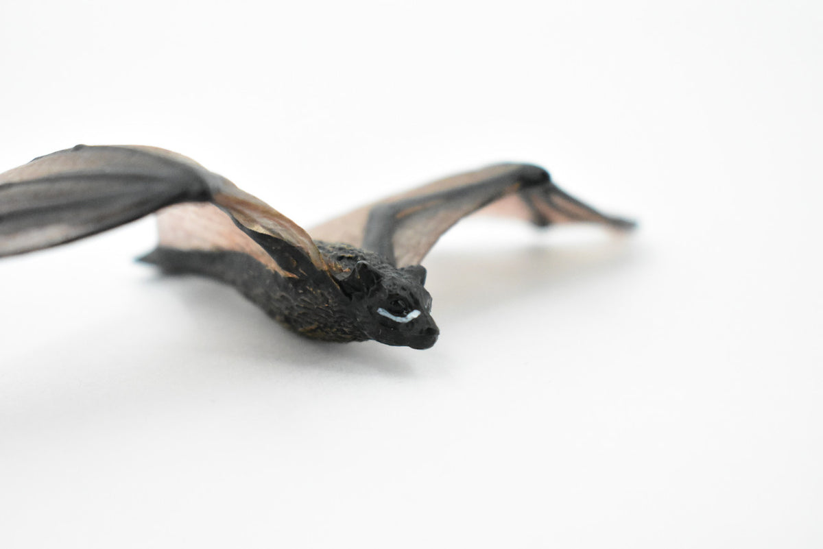 Bat, Chiroptera, Very Nice Rubber winged mammal, Hand Painted, Realistic Design, Educational, Diorama Model, Replica, Toy, Kids, Gift,     4 Inches.      CH429 BB109