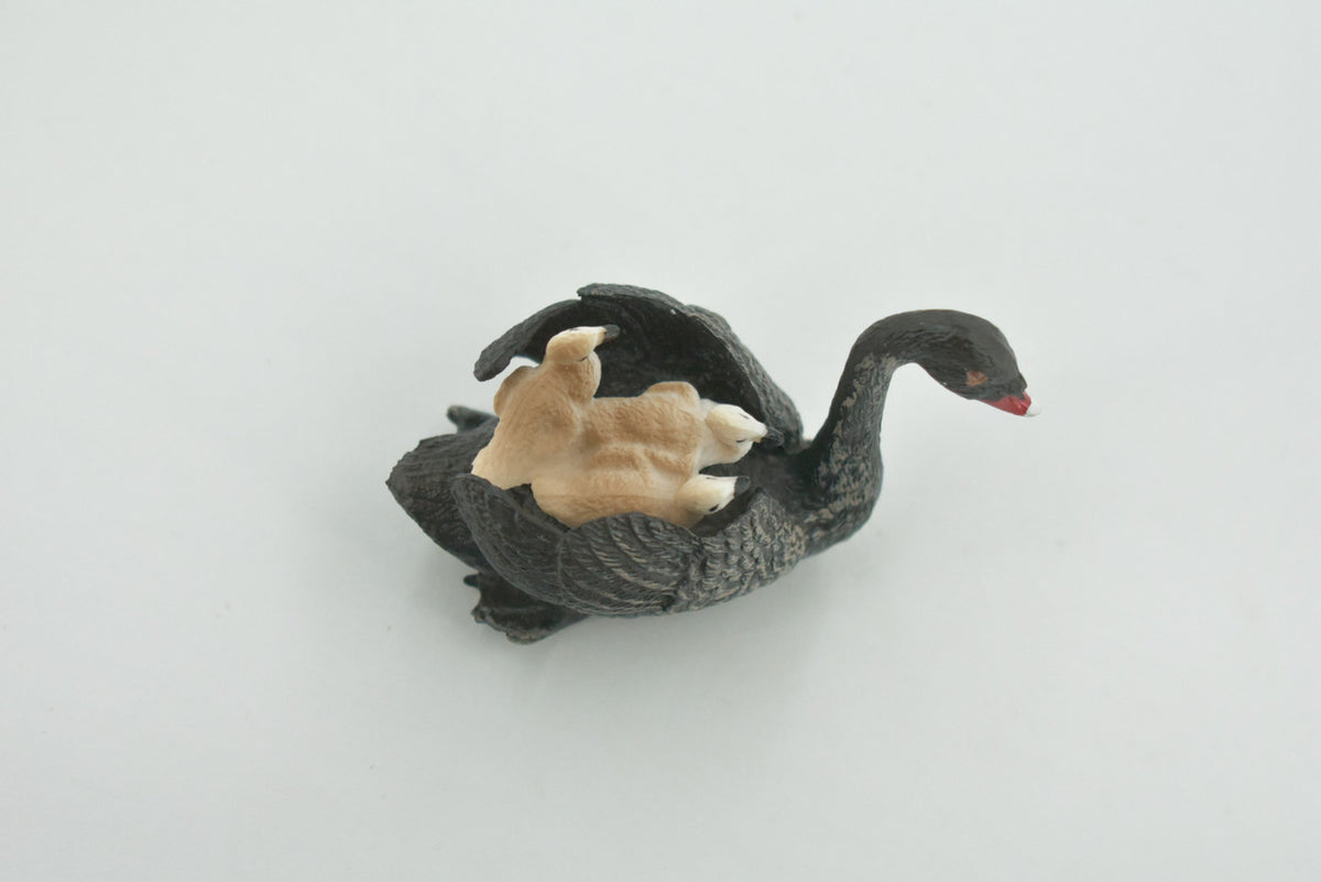Bird, Black Swan, with Chicks, Babies, Museum Quality, Hand Painted, Rubber, Figure, Realistic, Model, Replica, Toy, Kids, Educational, Gift,     3"    CH695 BB173