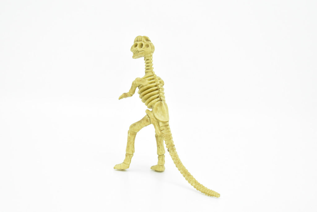 Dilophosaurus Dinosaur, Skeleton, Plastic Replica   6"  -   F3294 B66