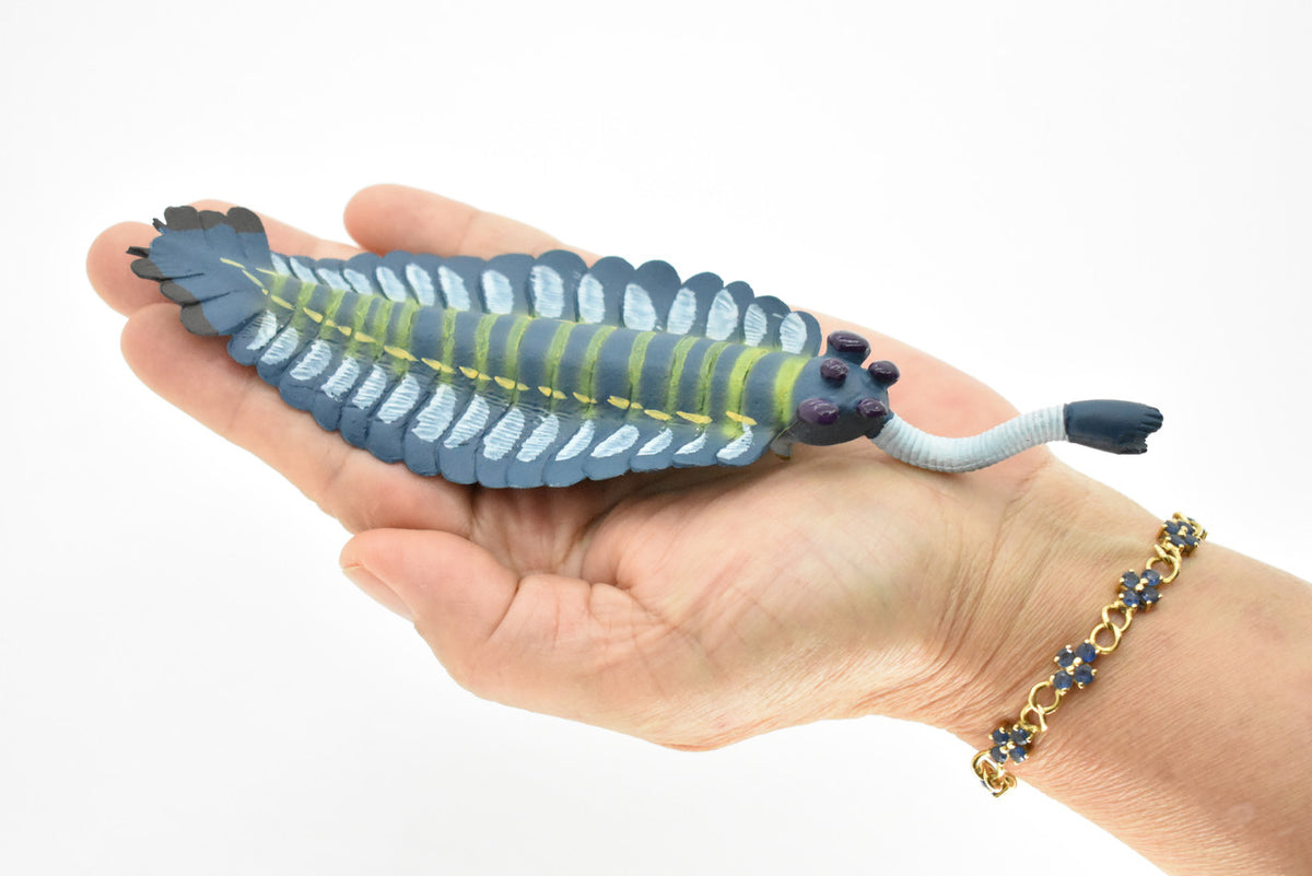 Opabinia, Prehistoric, Fossil, Museum Quality, Rubber Arthropods, Hand Painted, Realistic Toy Figure, Diorama Model, Kids, Educational,  7 Inches.