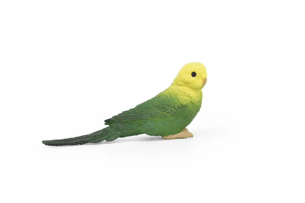 Parakeet, Budgerigar, (Budgies) Green, Museum Quality Plastic Reproduction, Hand Painted  3 1/2"   F4474 B206