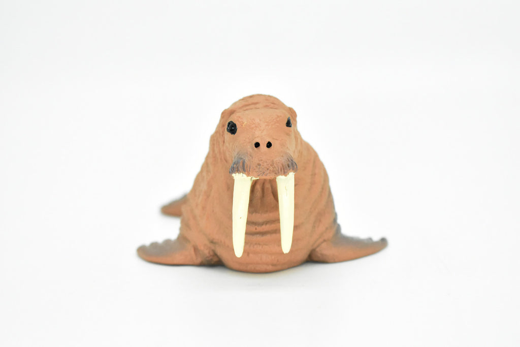 Walrus, Realistic Toy Hard Resin Model Replica, Kids Educational Gift   5"   OK05 B612