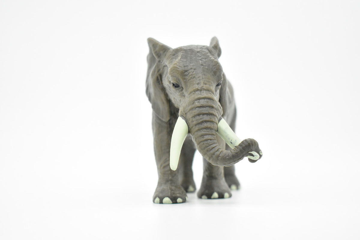 African Elephant, Loxodonta africana, Museum Quality, Hand Painted, Rubber Animal, Realistic Toy Figure, Model, Kids, Educational, Gift,    6 Inches.     CH118 BB95