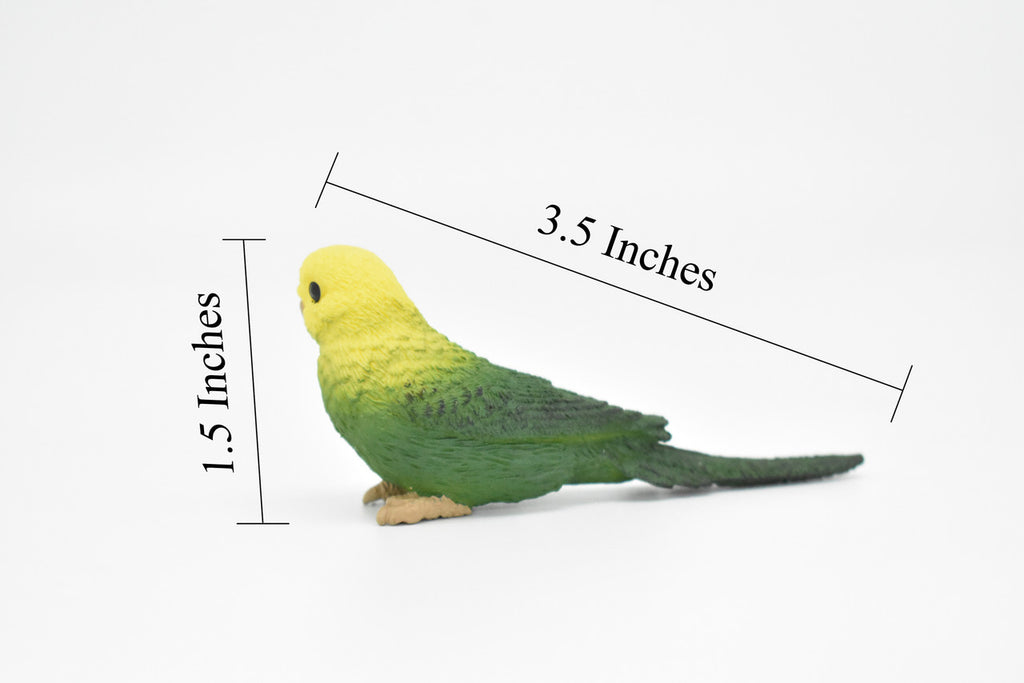 Parakeet, Budgerigar, (Budgies) Green, Museum Quality Plastic Reproduction, Hand Painted  3 1/2"   F4474 B206