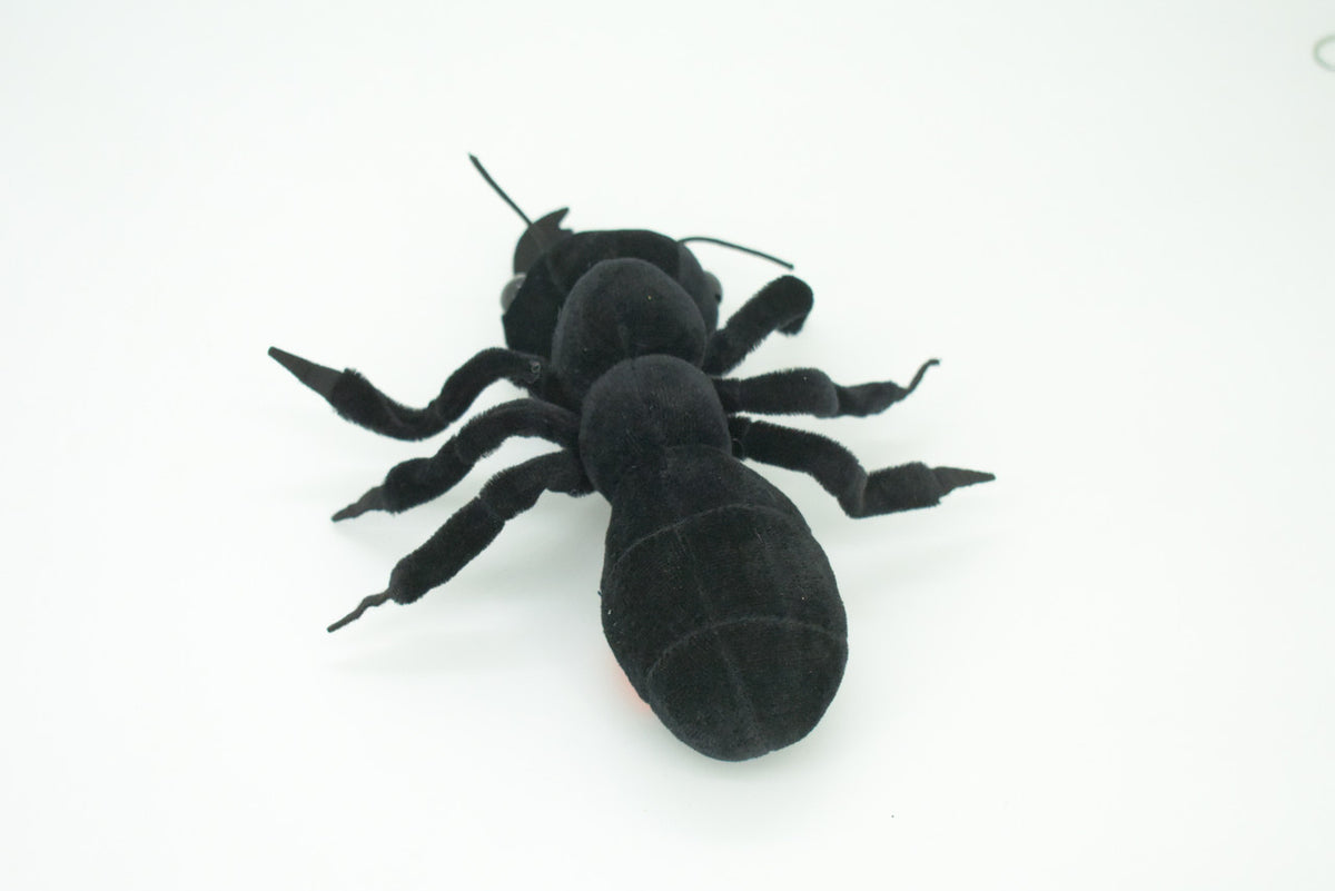 Ant, Black Ant, Camponotini, Insect, Plush Design, Educational, Figure, Replica, Gift,      7"    F1799 B102