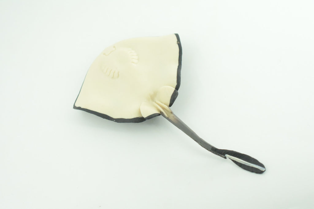 Sting Ray, Spotted Stingray, Museum Quality, Hand Painted, Rubber Fish, Realistic, Diorama, Model, Toy, Kids, Educational, Gift,   6 Inches.   CH1017 BB216