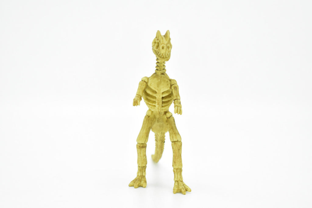 Dilophosaurus Dinosaur, Skeleton, Plastic Replica   6"  -   F3294 B66