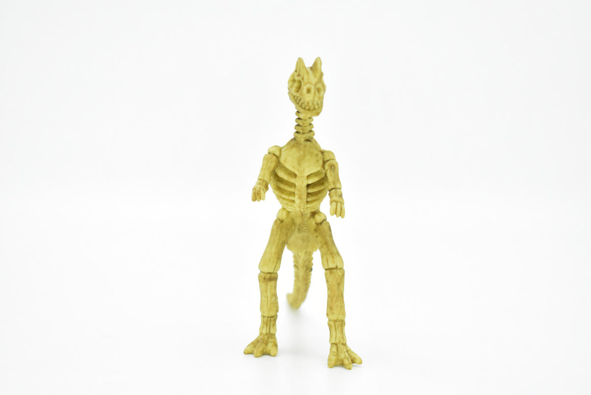 Dilophosaurus Dinosaur, Skeleton, Plastic Replica   6"  -   F3294 B66