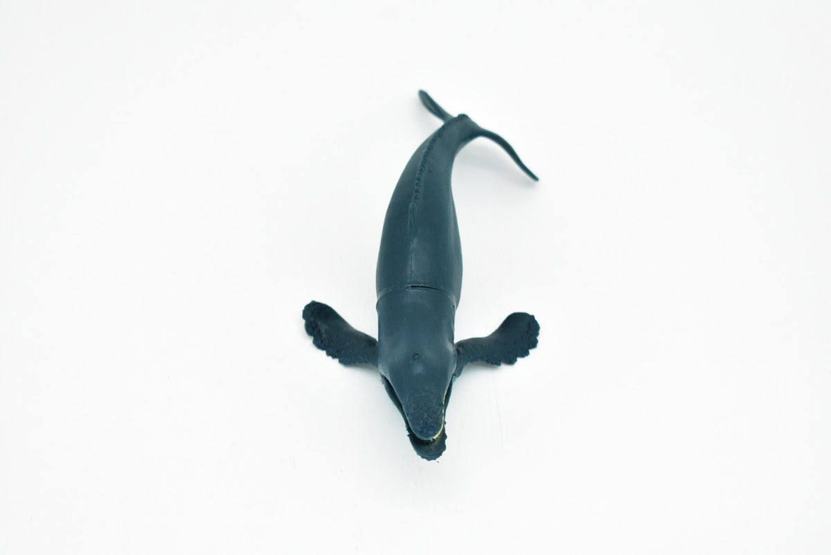 Humpback Whale, Hand Painted, Realistic, Soft Rubber, Saltwater, Educational,  Figure, Lifelike, Diorama Model, Figurine, Replica, Toy, Gift,  6 Inches   CWG91 B239