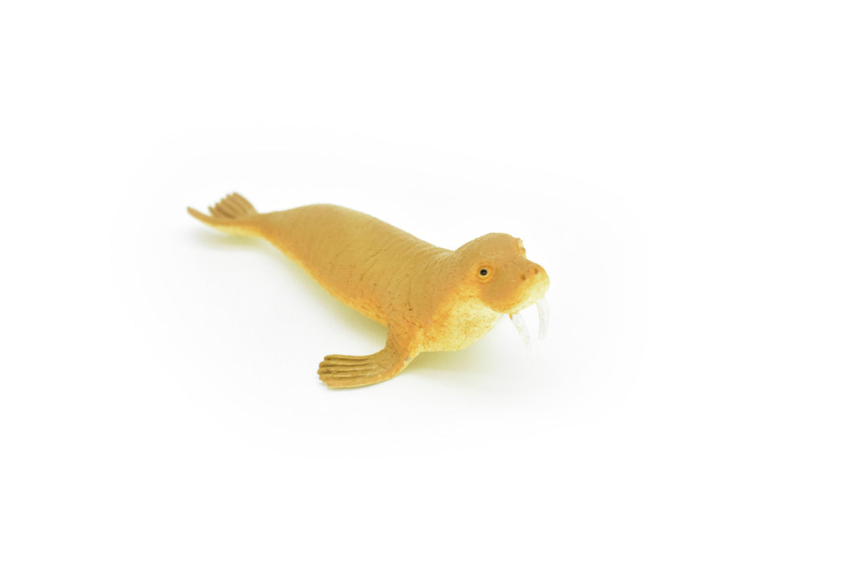 Walrus ~ Plastic Replica 4.75"W x 2.15"H ~ F6008-B377