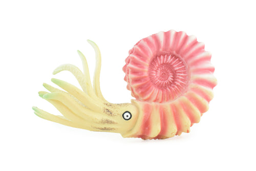 Ammonite, Prehistoric Marine Animal, Ocean Fossil, Museum Quality, Rubber, Hand Painted, Realistic Toy Figure, Diorama Model, Kids, Educational, Gift, 6 Inches. CH1049 BB220