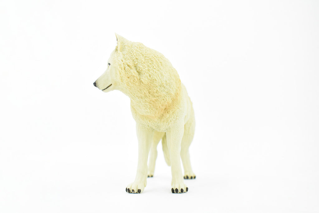 White Wolf, Arctic Timber Wolf, Museum Quality, Educational, Rubber Animal, Hand Painted, Realistic, Diorama Model, Toy, Kids, Gift,     7 Inches.    CH390 BB145