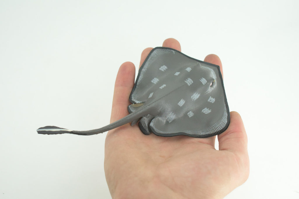 Sting Ray, Spotted Stingray, Museum Quality, Hand Painted, Rubber Fish, Realistic, Diorama, Model, Toy, Kids, Educational, Gift, 6 Inches. CH1017 BB216