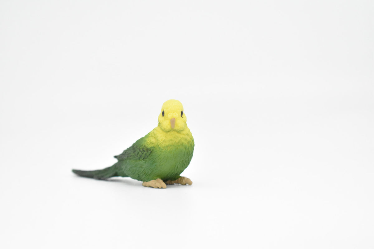 Parakeet, Budgerigar, (Budgies) Green, Museum Quality Plastic Reproduction, Hand Painted  3 1/2"   F4474 B206