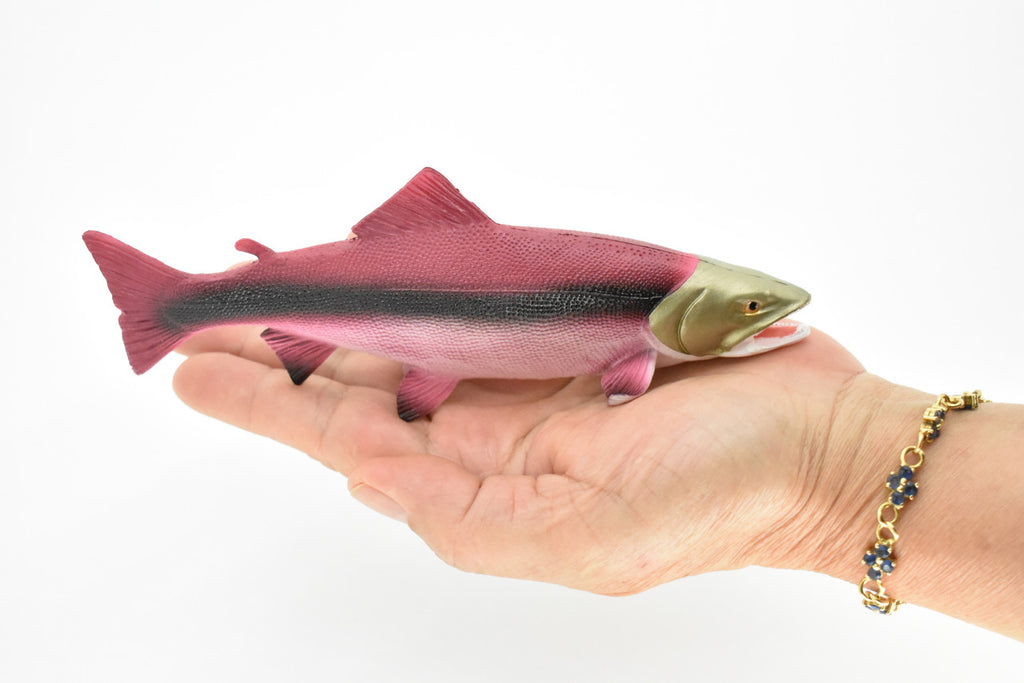 Salmon, King, Spawning, Fish, Very Realistic Rubber Figure, Model, Educational, Animal, Hand Painted Figurines,     6 1/2"   CH018 BB71