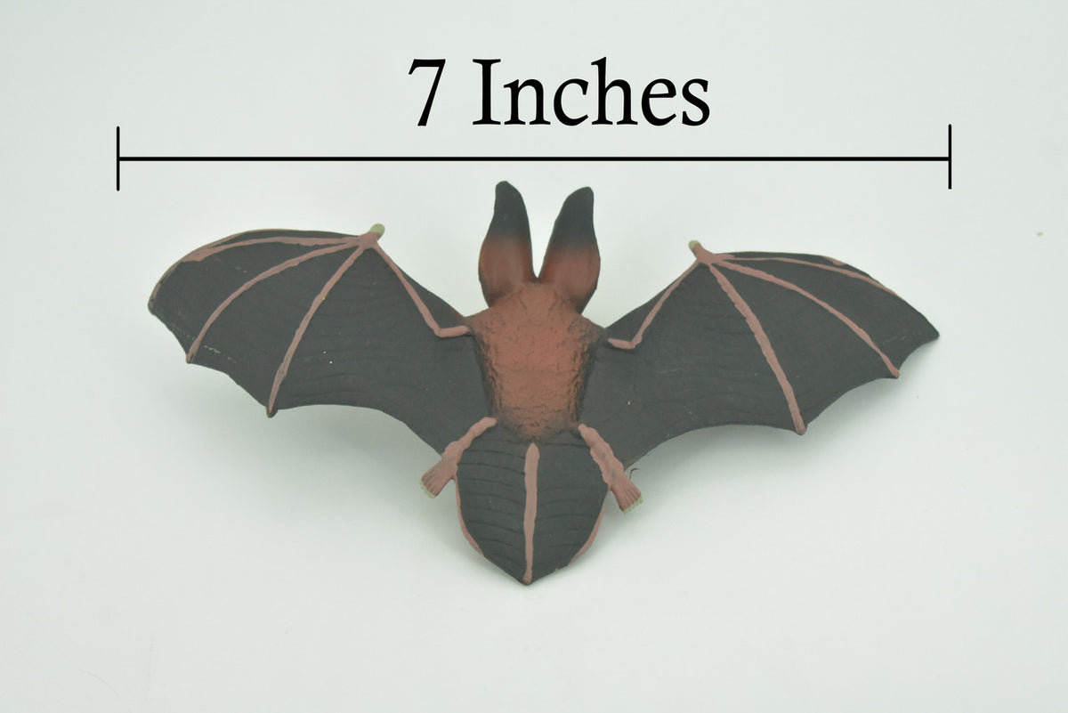 Bat, Townsend's Big-eared Bat, Museum Quality, Hand Painted, Realistic, Rubber, Animal, Figure, Model, Toy, Kids, Educational, Gift     7"   CH283 BB178