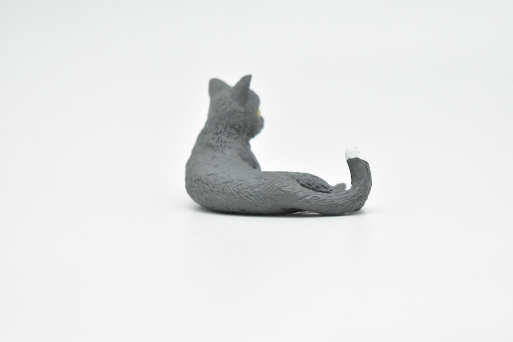 Domestic Gray Cat, Laying Down, Educational, Hand Painted, Realistic Cat Figure, Lifelike Model, Toy, Kids, Gift,     2 1/2 Inches.      CWG240 B306
