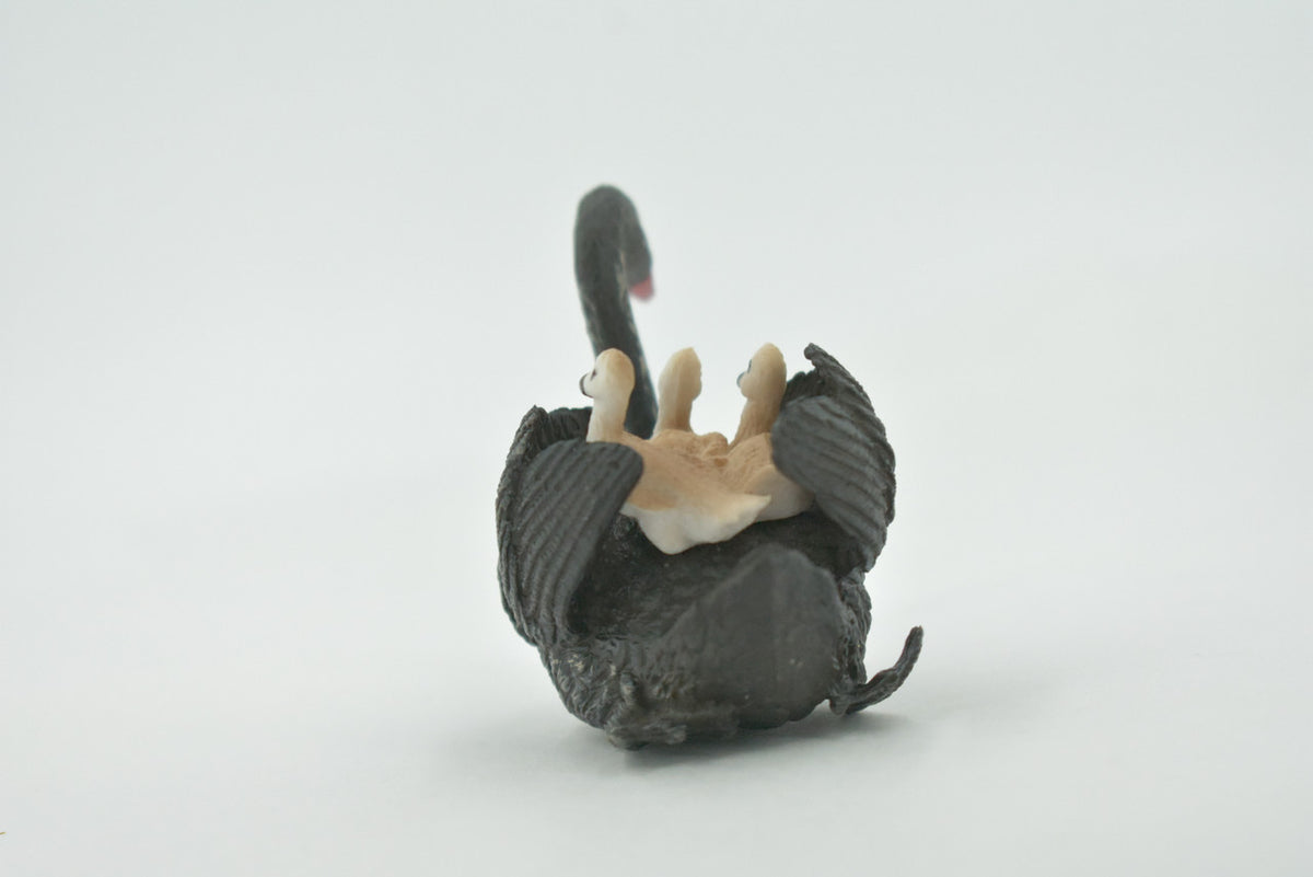 Bird, Black Swan, with Chicks, Babies, Museum Quality, Hand Painted, Rubber, Figure, Realistic, Model, Replica, Toy, Kids, Educational, Gift,     3"    CH695 BB173