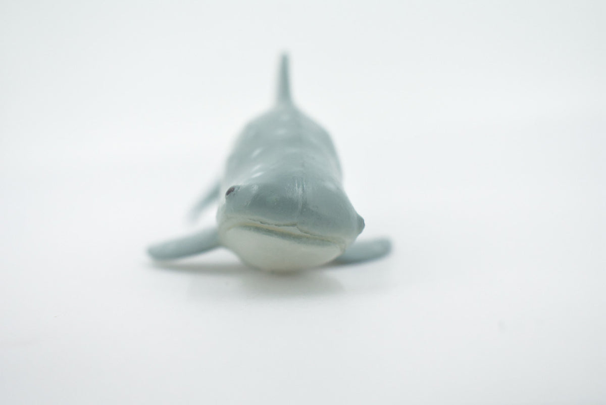 Whale Shark, High Quality, Hand Painted, Rubber, Marine Fish, Educational, Realistic, Figure, Replica, Toy, Kids, Educational, Gift,     7 Inches    CWG306 B382