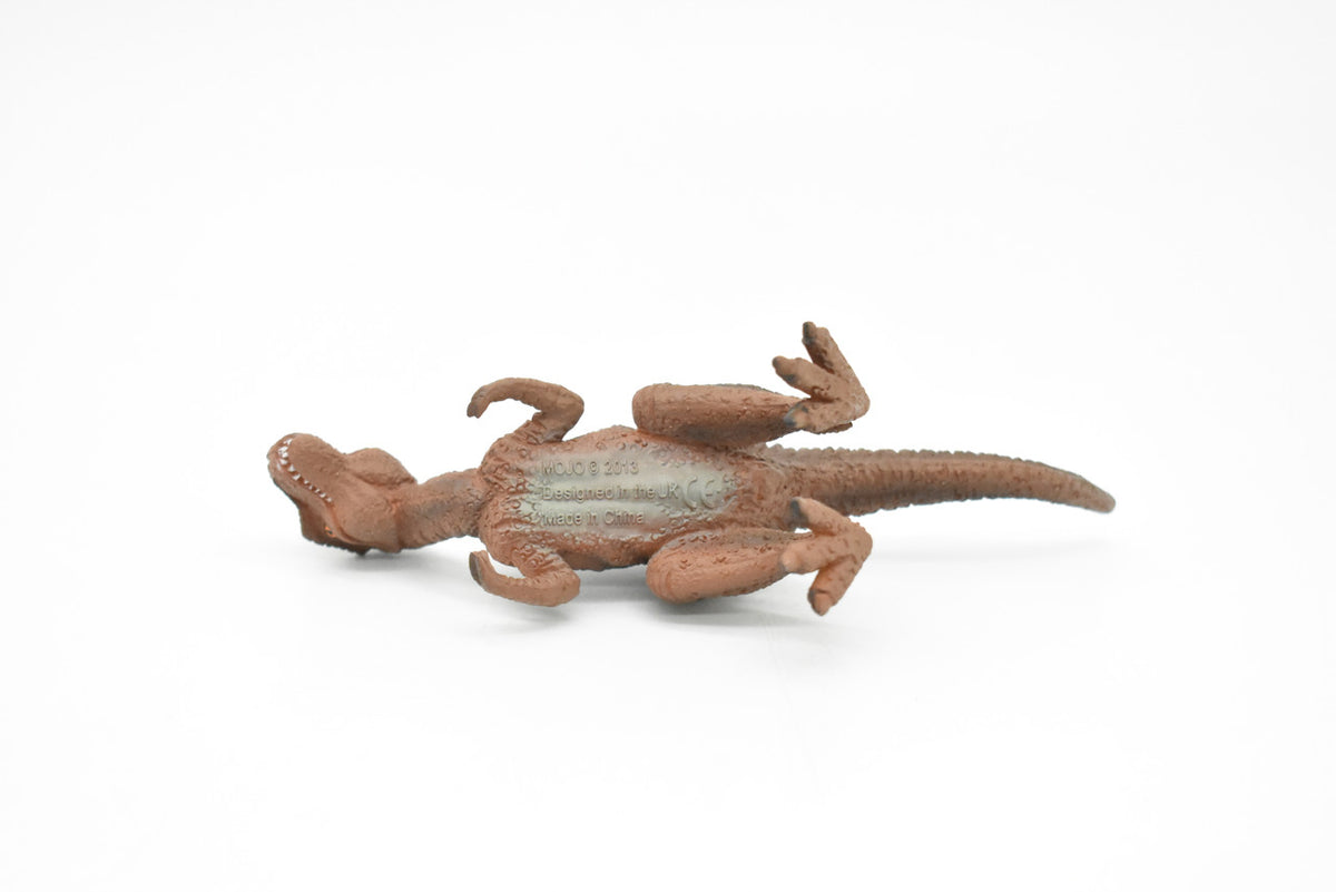 Tyrannosaurus rex, T. Rex, Dinosaur, Baby, Museum Quality Plastic Replica 5"