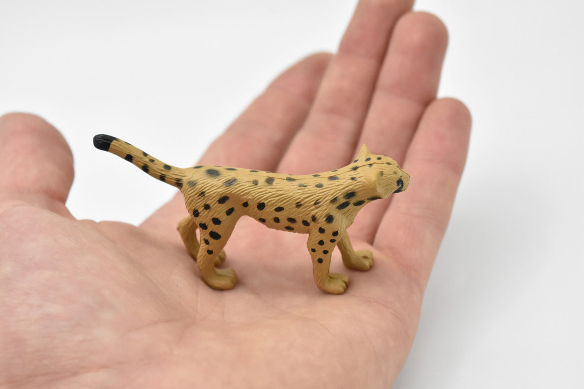 Cheetah Cub, Realistic Toy Model Plastic Replica Animal Kids Educational Gift 3" F251 B206