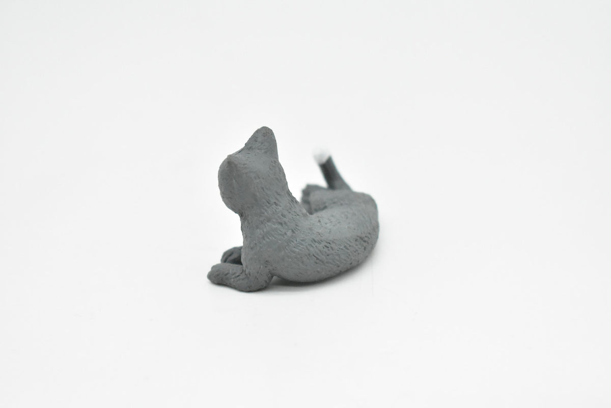 Domestic Gray Cat, Laying Down, Educational, Hand Painted, Realistic Cat Figure, Lifelike Model, Toy, Kids, Gift,     2 1/2 Inches.      CWG240 B306