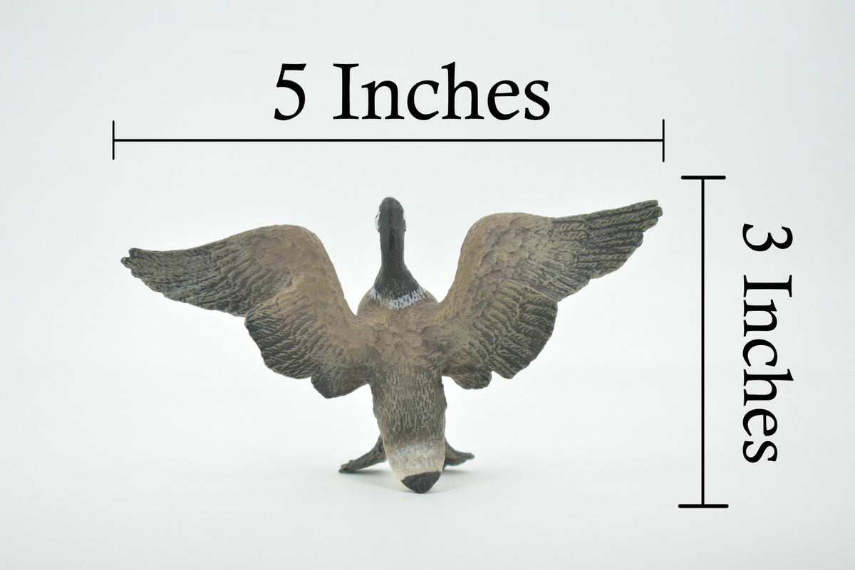 Canada Goose, Honker, Geese, Museum Quality, Educational, Hand Painted, Rubber Bird, Toy Figure, Lifelike Design, Diorama Model, Kids,  5 Inches. 