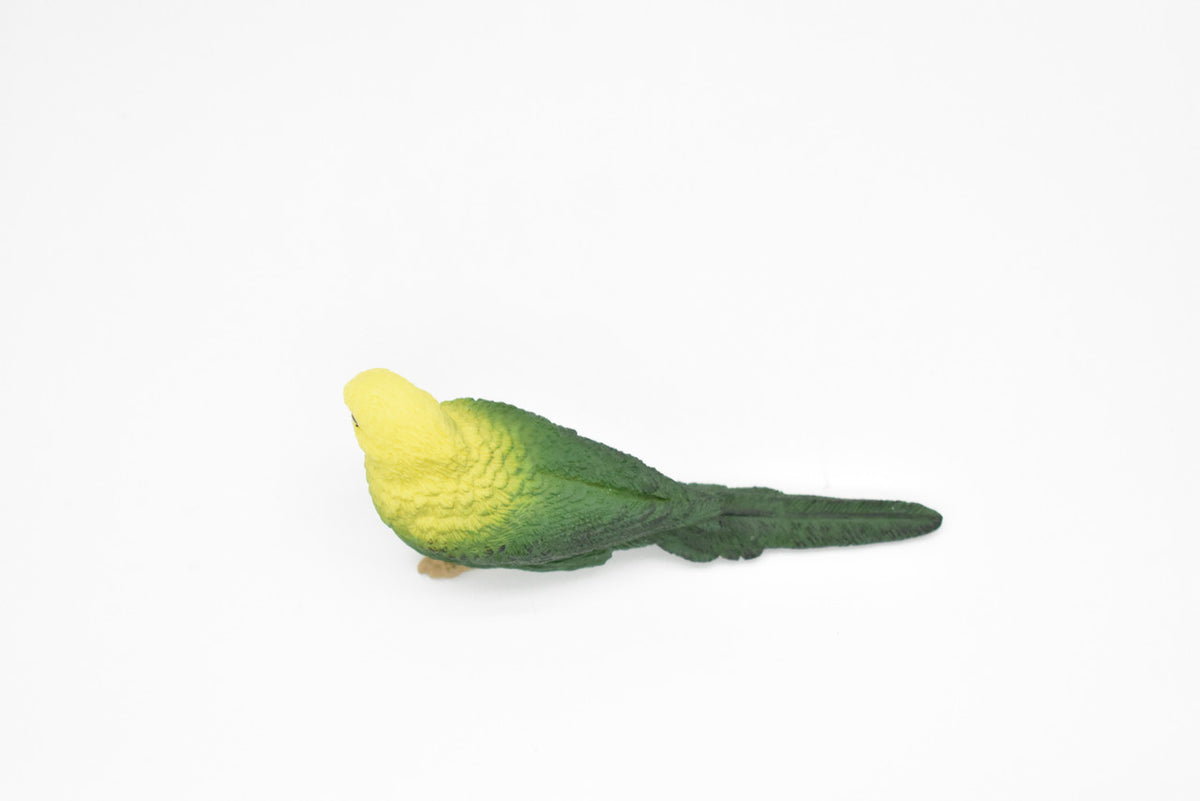 Parakeet, Budgerigar, (Budgies) Green, Museum Quality Plastic Reproduction, Hand Painted  3 1/2"   F4474 B206