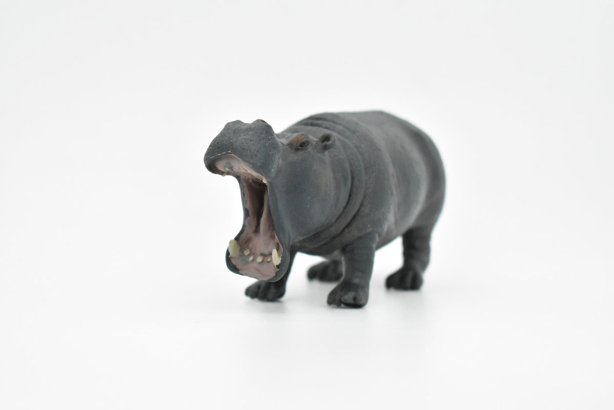 Hippo, Hippopotamus, Museum Quality, Hand Painted, Educational, Rubber Animal, Realistic Toy Figure, Diorama Model, Kids,  5 Inches. 