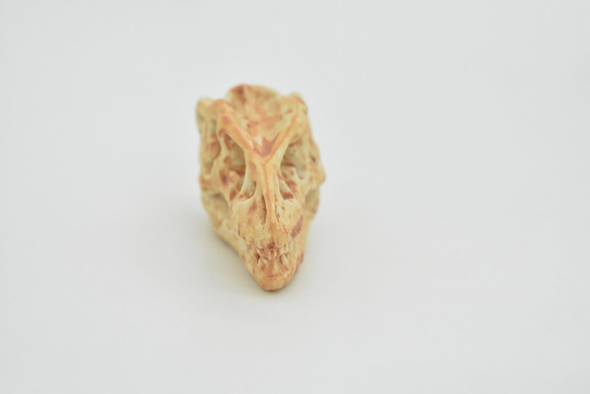 T-Rex, Tyrannosaurus Rex Dinosaur, Skull Fossil, king of the tyrant lizards, Very Realistic, Hard Rubber, Educational, Figure, Diorama Model, Prehistoric, Bones, Toy, Gift,   2 Inches  CH124 B231