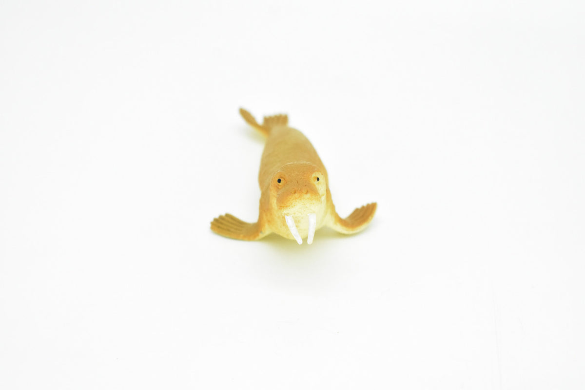 Walrus ~ Plastic Replica 4.75"W x 2.15"H ~ F6008-B377