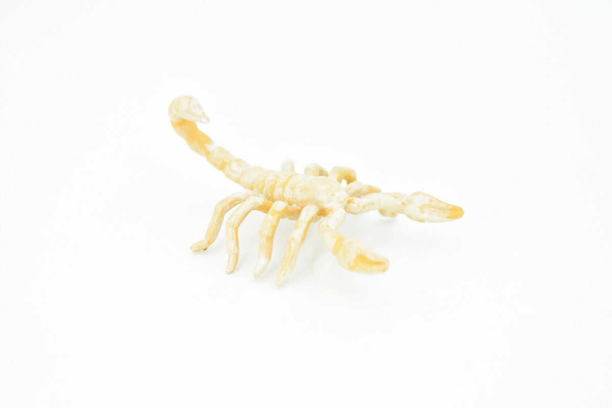 Scorpion, Cave, Arachnids, Plastic Toy Insect Kids Gift, Realistic Figure, Educational Model, Replica, Gift       2 1/2"     F765 B625