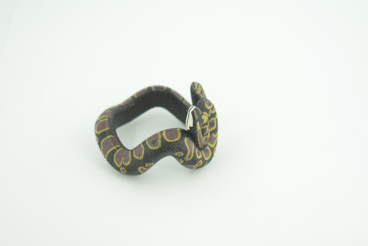Python Snake Bracelet, Snake Wrist Band, Plastic Reptile, Educational, Realistic, Beautiful Design, Figure, Lifelike, Replica, Gift,     3"   RI72 B663