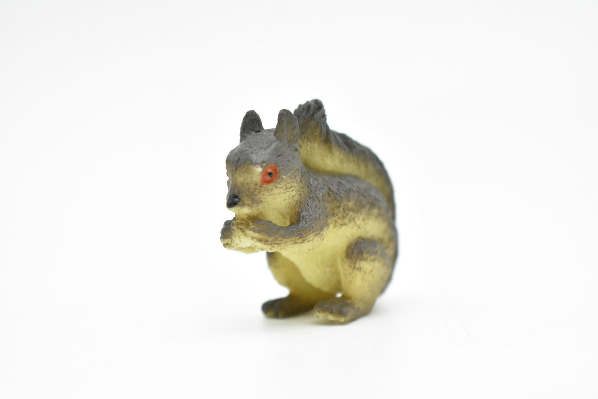 Squirrel, Tree, Ground, Sciuridae, Hand Painted, High Quality, Hard Rubber, Realistic, Very Nice Design, Educational, Diorama Model, Lifelike, Toy, Gift,  1 1/2 Inches.   CWG125 B238