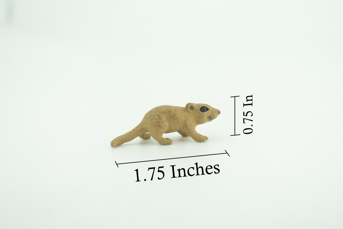 Mouse, Hand Painted, High Quality Rubber Rodent, Realistic House Mouse, (Mus musculus), Diorama Design, Educational, Toys, Kids, Gift, 1 3/4 Inches. CH1032 BB218