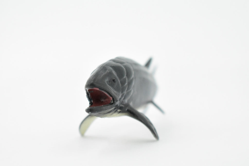 Leedsichthys, Extinct Jurassic Fish, Leeds' fish, Museum Quality, Rubber, Hand Painted, Realistic, Diorama Model, Kids, Educational, Gift,       4 Inches.       CH428 BB109