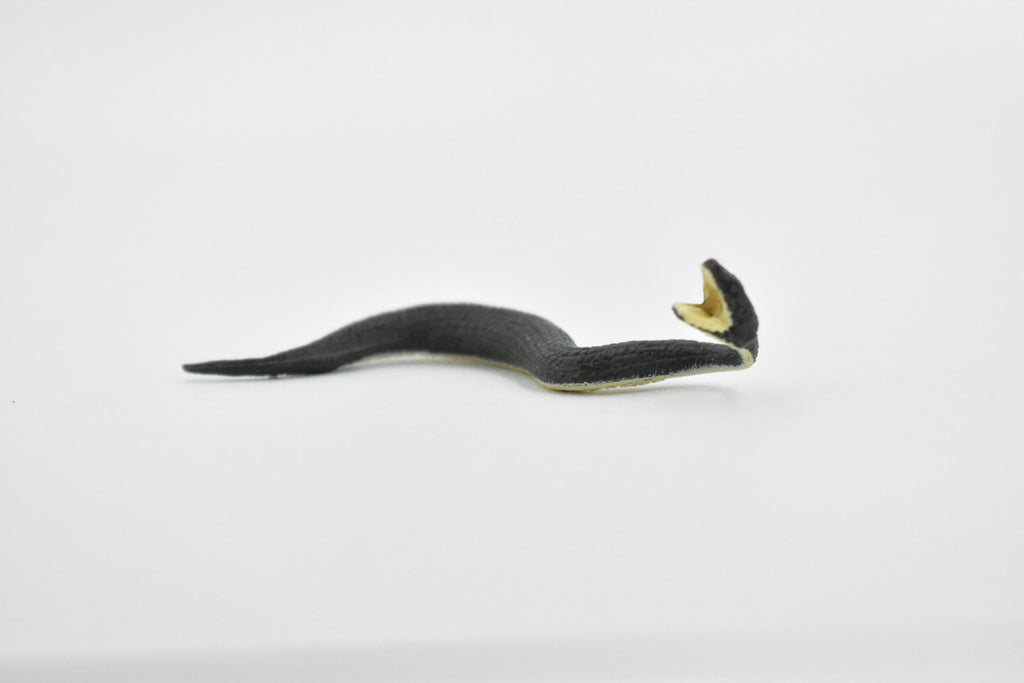 Black Water Moccasin, Snake, Rubber Reptile, Educational, Realistic Hand Painted, Figure, Lifelike Model, Figurine, Replica, Gift,      2 1/2 Inches    F7044 B165