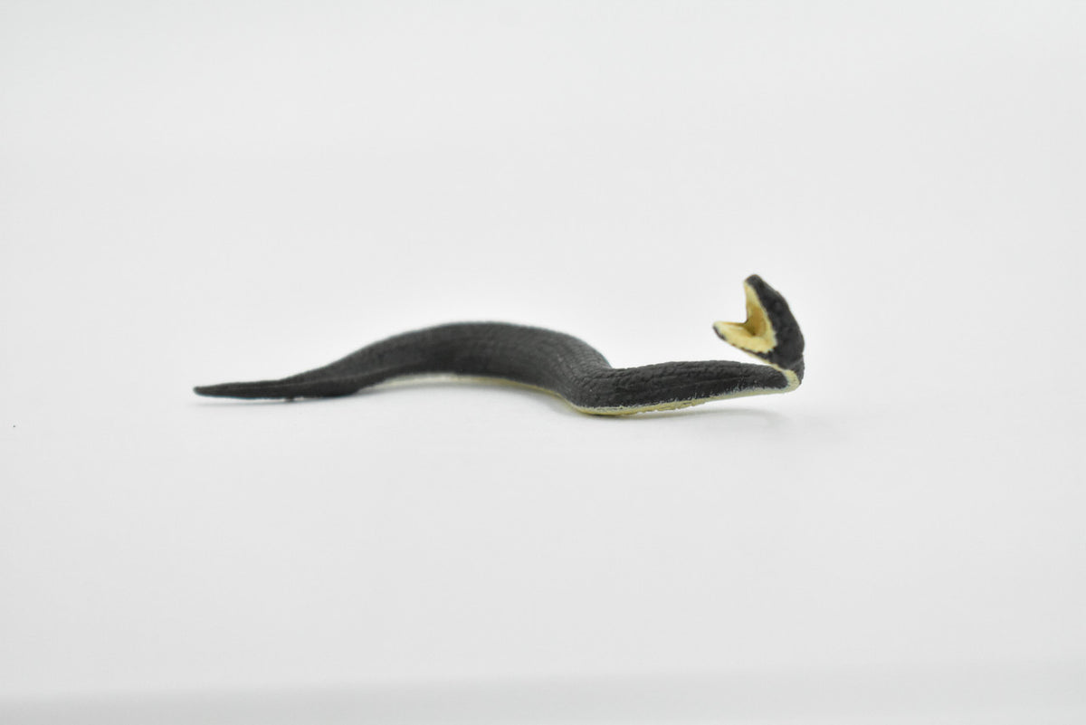 Black Water Moccasin, Snake, Rubber Reptile, Educational, Realistic Hand Painted, Figure, Lifelike Model, Figurine, Replica, Gift,      2 1/2 Inches    F7044 B165