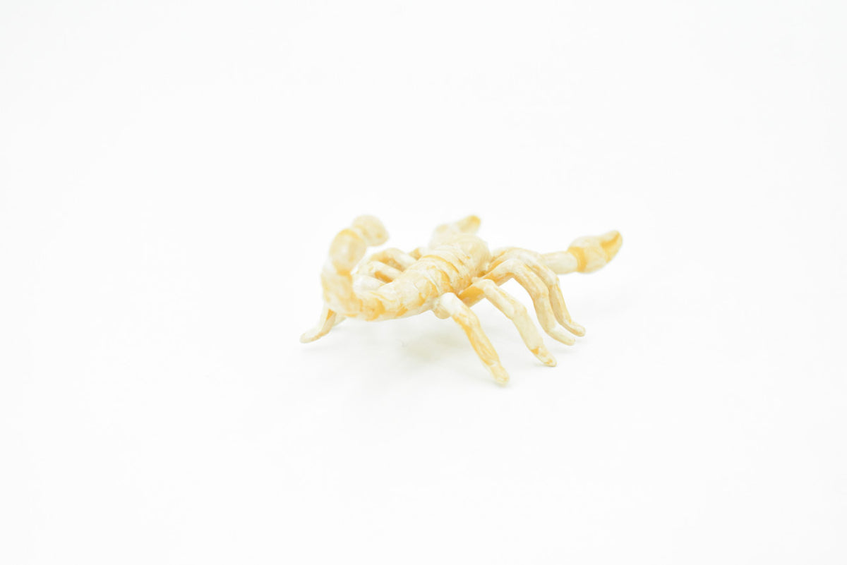 Scorpion, Cave, Arachnids, Plastic Toy Insect Kids Gift, Realistic Figure, Educational Model, Replica, Gift       2 1/2"     F765 B625