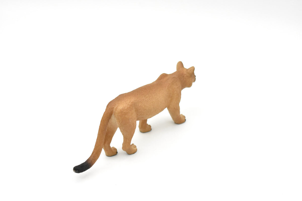 Puma, Cougar, Mountain Lion, Museum Quality Plastic Replica  5"   M127-B648