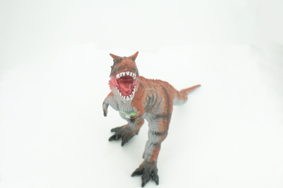 Carnotaurus, Horned Carnivore, Cretaceous Dinosaur, Hand Painted, Educational, Soft Rubber, Lifelike Model, Gift,    13"   AR11 B305