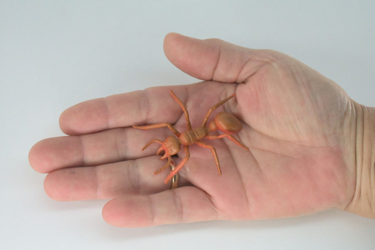 Red Ant, Very Nice Rubber Insect, Educational, Realistic Hand Painted, Figure, Lifelike Model, Figurine, Replica, Gift,     2"   US24 B44